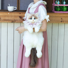 将图片加载到图库查看器，Ragdoll cat backpack simulation doll backpack