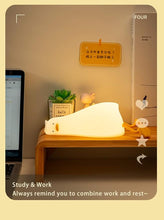将图片加载到图库查看器，Duck Night Light