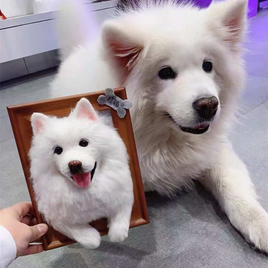 ‌Custom Woolen Felt Pet Frame - Uniquely Yours!‌
