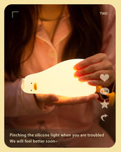 将图片加载到图库查看器，Duck Night Light