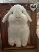 将图片加载到图库查看器，‌Custom Woolen Felt Pet Frame - Uniquely Yours!‌