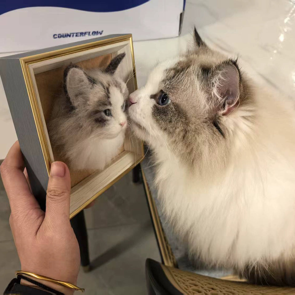 ‌Custom Woolen Felt Pet Frame - Uniquely Yours!‌